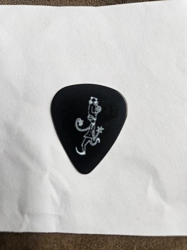 Image: https://i.ebayimg.com/images/g/7p8AAOSw3R1oTvkf/s-l500.webp Pearl Jam pick Jeff Ament Pick Mr Point Vs Deluxe Set pick - Picture 1 of 2