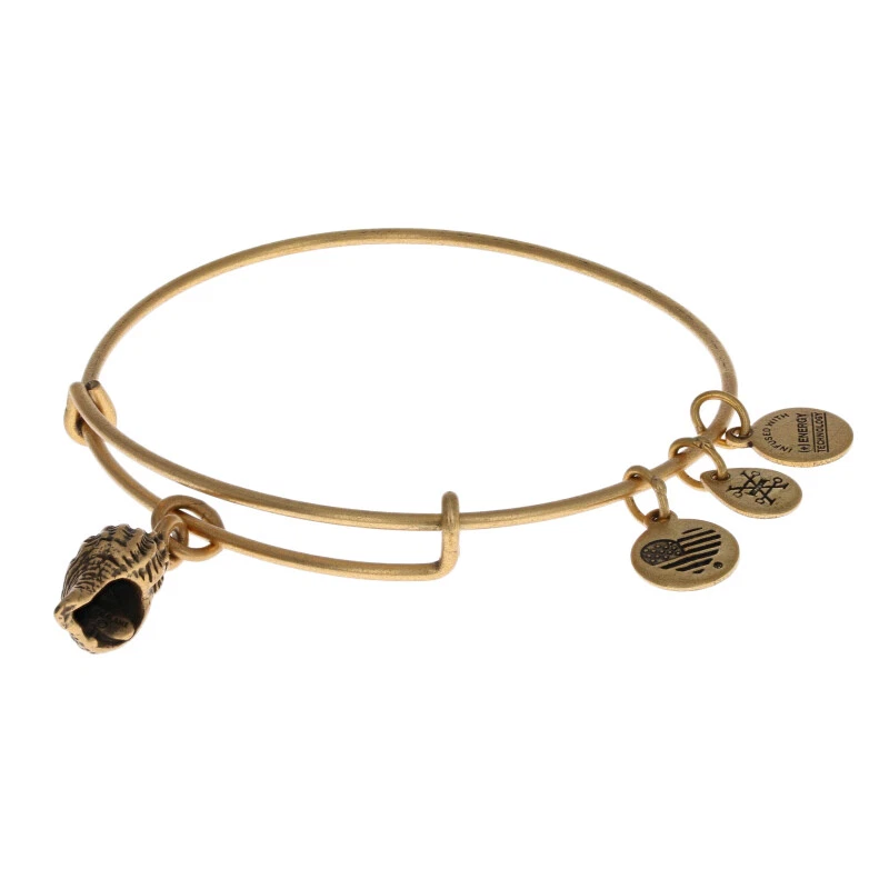 Alex and ani conch shell bracelet deals