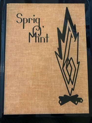Bremen High School Yearbook 1966 "Spring O'Mint" 66 Bermen, Indiana IN