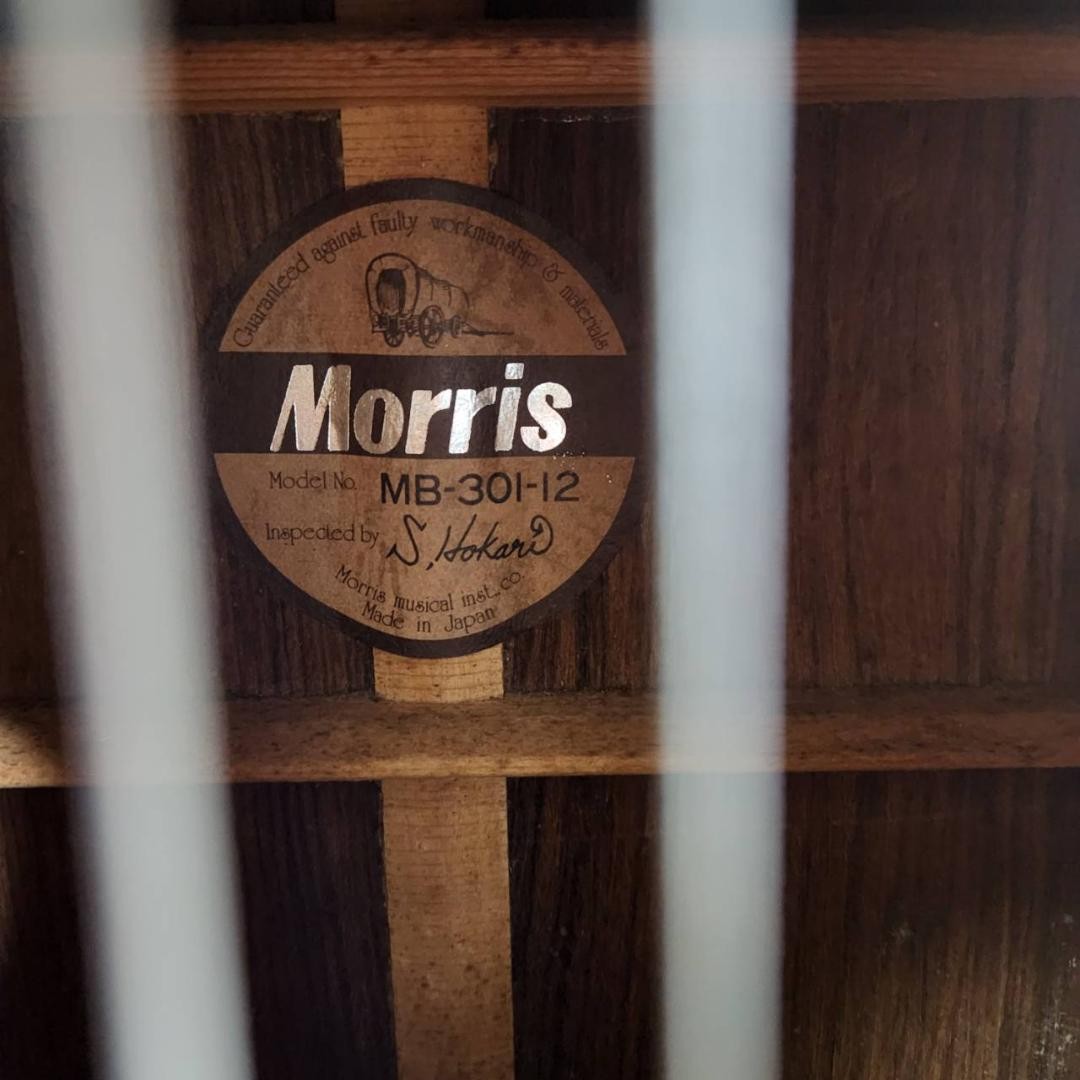 12-String Acoustic Guitar Morris MB-301-12 | eBay