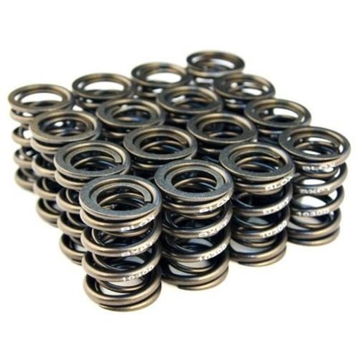 BLOX Racing Valve Springs Fits Honda B-Series NON VTEC B18A B18B B20