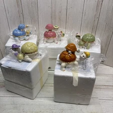 Ardleigh Elliott "Grandma's Little” Turtle Music box Lot Of 5 With Coa