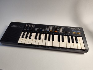 Casio Keyboard Sk 1 | eBay