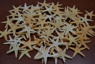 90 PCS NATURAL TAN FLAT STARFISH STAR SEA SHELL BEACH 3/4'' - 1''