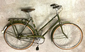 raleigh bike fenders