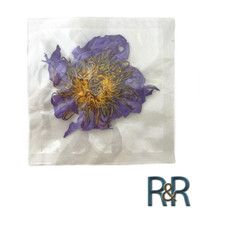 Organic Whole Blue Lotus Flower Sealed Packs Nymphaea caerulea 6x Pack