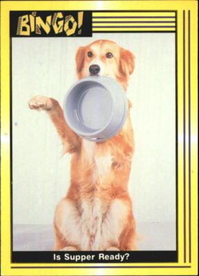 A4764- 1991 Bingo the Dog Collector Card #s 1-110 -You Pick- 15+ FREE US SHIP
