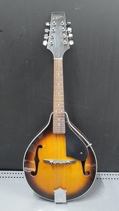 ARIA　サンバースト　マンドリン 本体　AM-200BS Aria Mandolin | eBay