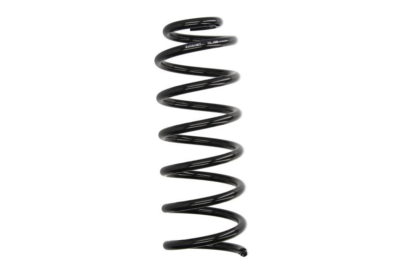 Magnum Technology Fahrwerksfeder Sv081mt - Bild 4