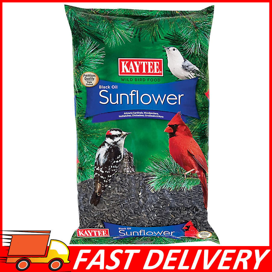 Kaytee Wild Bird Black Oil Sunflower Food, USA Made, 5 Pounds