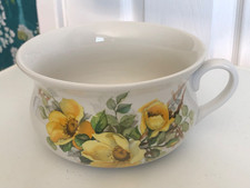Portmeirion Pottery Chamberpot Potty Planter Dogwood Design RARE Yellow Flower