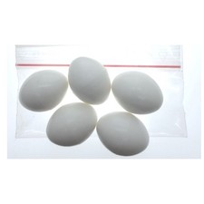 5 œufs artificiel en plastique pour oiseaux Calopsitte , inséparables, agapornis