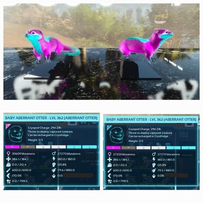 ARK ASA PVE OFFICIAL PAIR BABY OTTER ABERRANT C.CANDY TOP STATUS  PC/XBOX/PS5