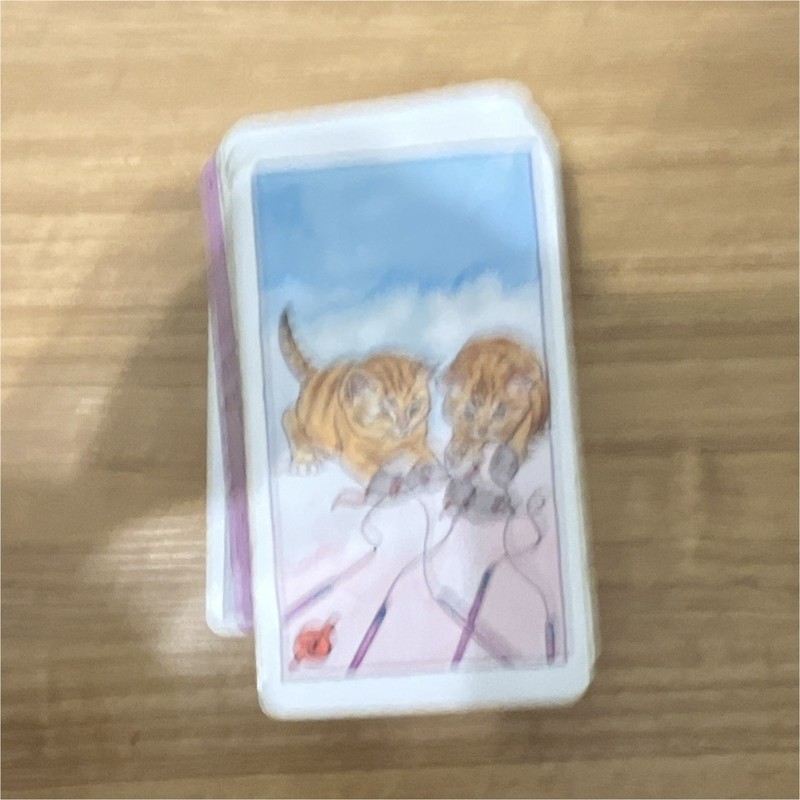 Mini Illustrated Tarot/Oracle Card Deck in Plastic Case - Cat Design