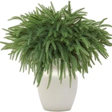 12PCS 18in Real Touch Artificial Norfolk Pine Greenery Stems Faux Cedar Pine ...