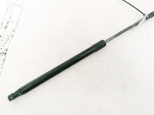 Gasdruckfeder Motorhaube  Ford Focus DE1731029-81