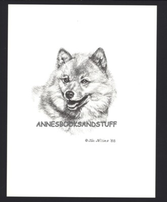 #402 FINNISH SPITZ portrait dog art print * Pen & ink drawing by Jan Jellins