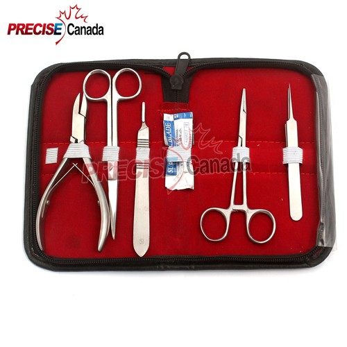 Coral Reef In Foggy Winter Sunset | Stable Diffusion Online - Foto 5