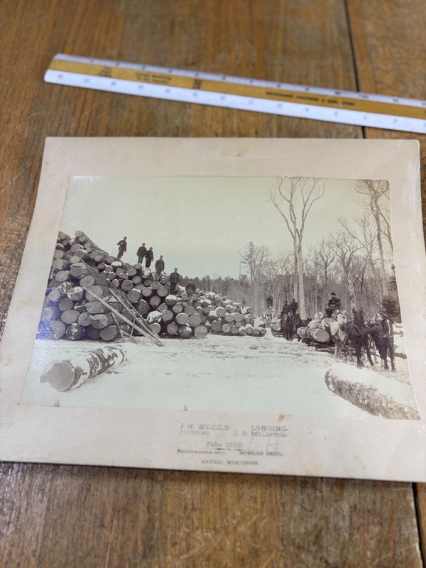 Antique Photo Weeds Landing Antigo Wisconsin Logger cabinet card logging 8x10