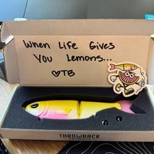 Throwback Baits x Homeless Fisherman - Metro Glide "Pink Lemonade" - BRAND NEW