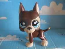 PETSHOP CHIEN  DOGUE ARGENTIN N°817 Bis