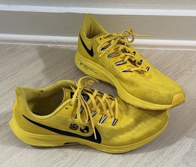 Size 11 - Cody Hudson x Nike Air Zoom Pegasus 36 Chrome  display picture 1