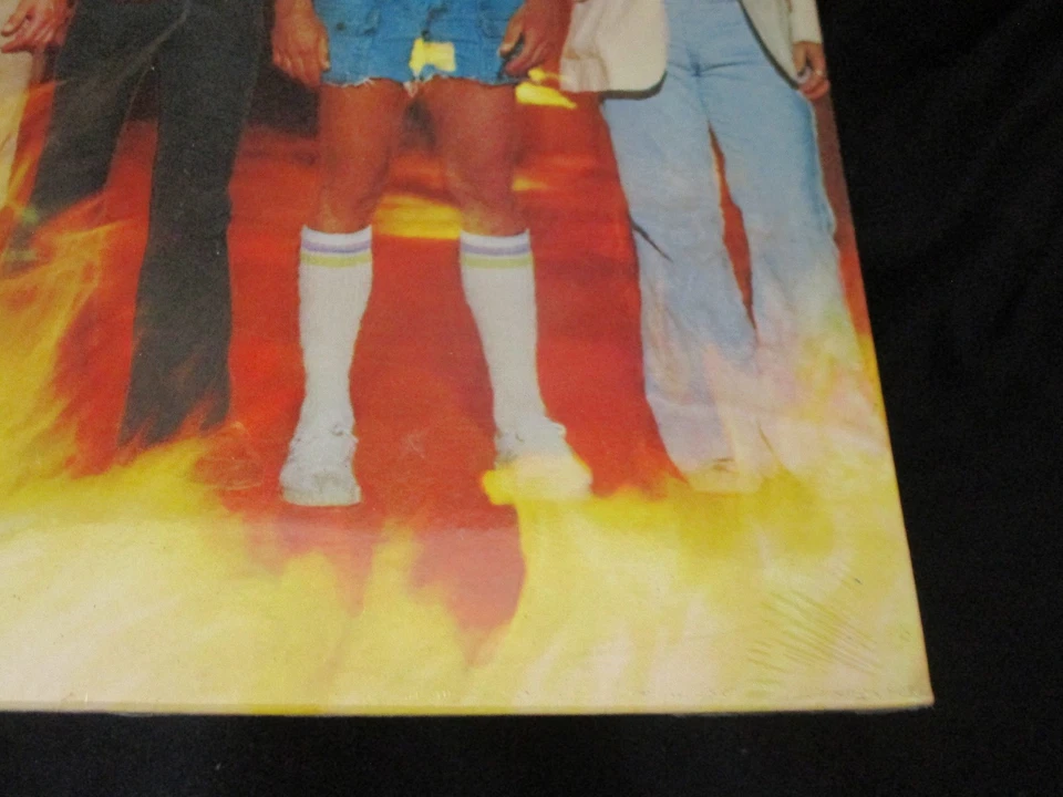 Lynyrd Skynyrd Street Survivors Sealed Vinyl Record LP Album USA 1977 Recalled  - Image 4 of 4