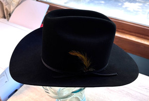 Stetson Beaver Hat 4X | eBay