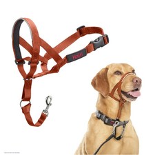 Halti Headcollar - Stop Your Dog Pulling on The Leash. Adjustable, Reflective...