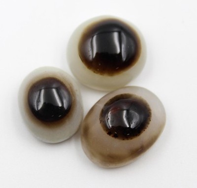3. Piece Natural Eye Agate Cabochon Smooth Oval Shape Gemstone 16X13MM - 19X14MM