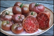 Tomato Cherokee Purple Garden Heirloom Vegetable By Seed Kingdom 1/4 LB Seeds