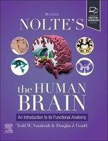 Nolte's The Human Brain Todd W Vanderah