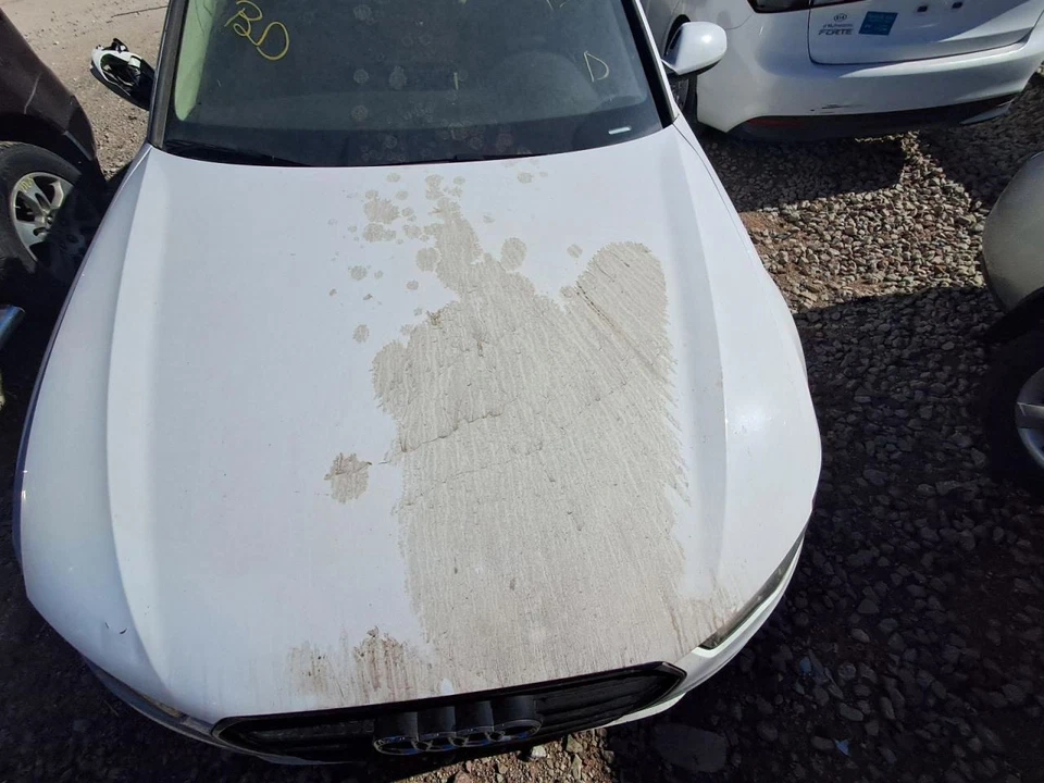 (LOCAL PICKUP ONLY) Hood Fits 12-18 AUDI A6 2630406 Foto 3 de 4