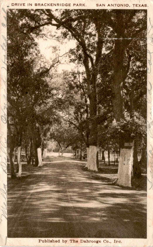 Brackenridge Park, San Antonio, Texas, The Dahrooge Co., Inc., Pack Postcard