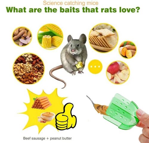 The Best Selling Mouse Traps - 2 Pack Live Catch and Release Mouse-trap - Picture 6 of 12