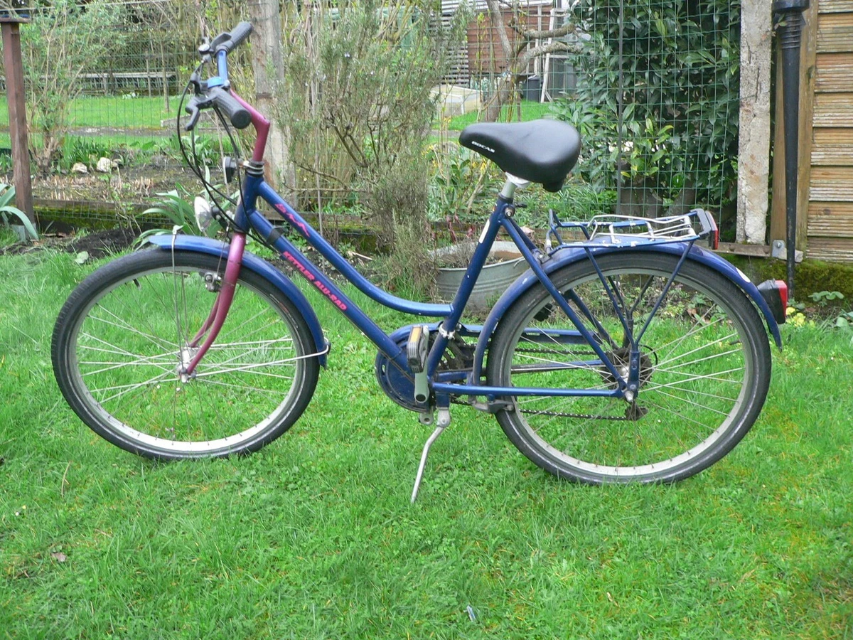 holländisches damenfahrrad MADICKS Hollandrad Größe 26 Cityrad Vintage Retro mit Tiffany-Korb – Türkis mit Gangschaltung City Bike (Korb aus Eisen) Sport & Freizeit Teebeutel Aufbewahrung für die thc test Farbe:Flamingo red