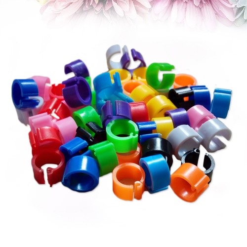 Set of 2 Homing Pigeon Anklet Baby Plastic Ring Bird Tag Toys for Birds - 第 12/12 張圖片