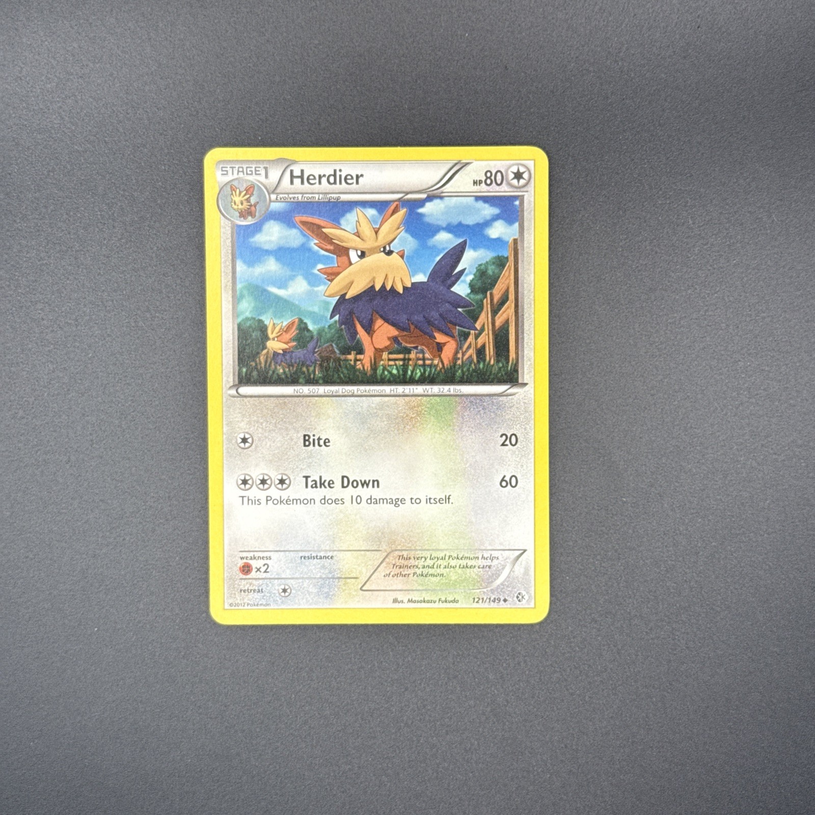 LP Herdier 121/149 Boundaries Crossed Regular