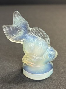 Sabino Fish | eBay