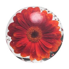 9.8x9.8 Inch Round Mouse Pad, Rubber Mouse Pad, Large Orange Daisies