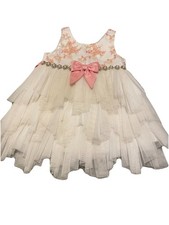 American Princess Baby Girl Dress 24 Months Ivory Pink Tulle Dress Floral Party