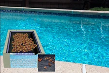 Rectangle In-Ground Swimming Pool Winter Cover Leaf Net Covers - Choose Size