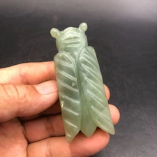 China Hongshan Culture Old Natural Jade Carved Cicada Amulet Pendant,#335