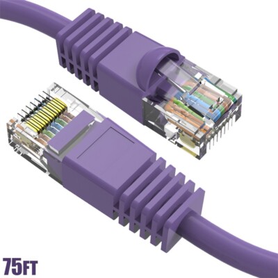 75FT Cat6A RJ45 Ethernet LAN Network Cable UTP Copper Wire Gold 24AWG Purple