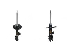 2x Stoßdämpfer ASHIKA VORNE L+R für KIA CEE'D I, PRO CEE'D I