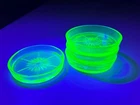 Set of 4 Vintage Federal Uranium Glass Vaseline Green Drink Coaster - Read!