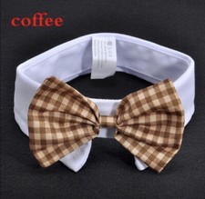 Coffee Color Small Dog / Cat Bow Tie Collar