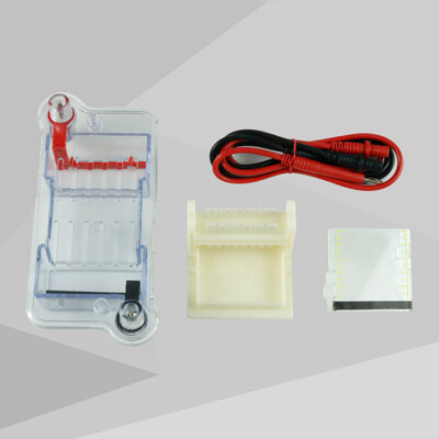 27022 Horizontal Electrophoresis Tank High School Biological Equipment 122-3122