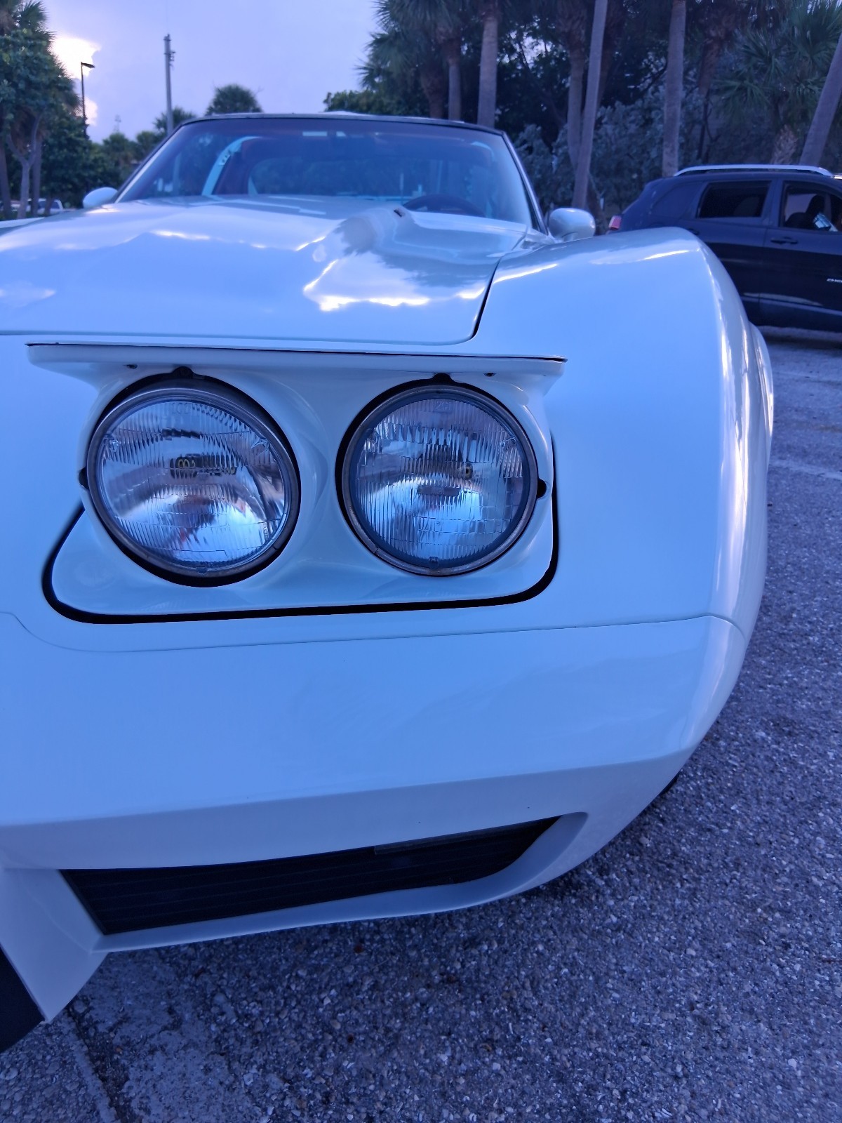 1977 White Chevrolet Corvette   | C3 Corvette Photo 6
