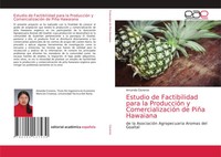Amanda Cisneros | Estudio De Factibilidad Para La ProduccióN Y...